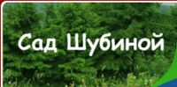 Сайт шубиной новосибирск